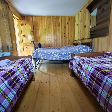 Adishi Guest House Zhora Kaldani ภายนอก รูปภาพ