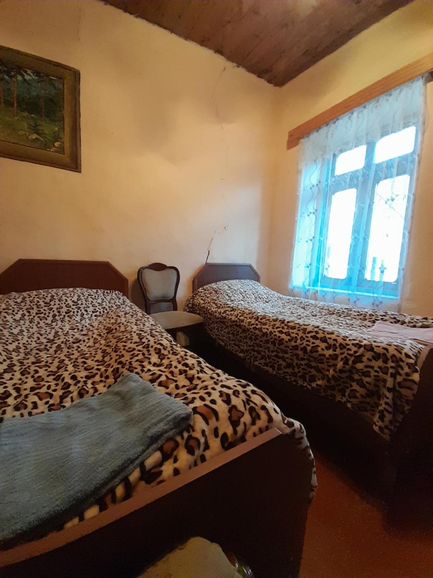 Adishi Guest House Zhora Kaldani ภายนอก รูปภาพ